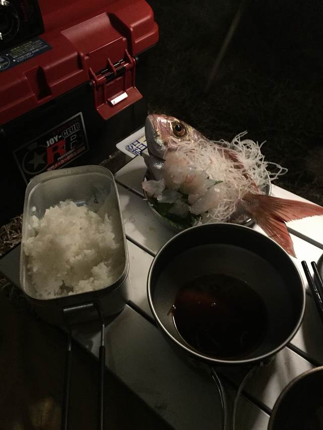 テーブルに並ぶ、魚の刺身とごはん