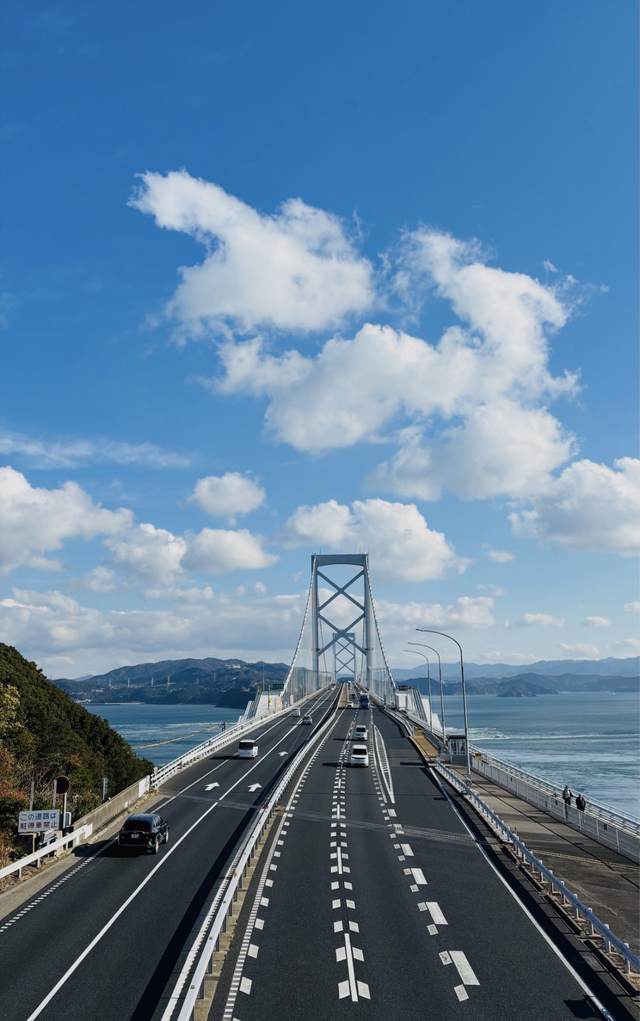 徳島の海にかかる大きな吊り橋を上から見た景色