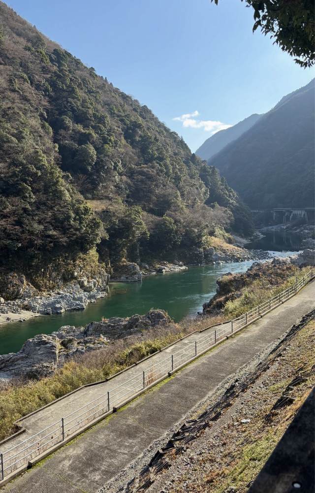 徳島・大歩危小歩危の、緑色の川が流れる渓谷