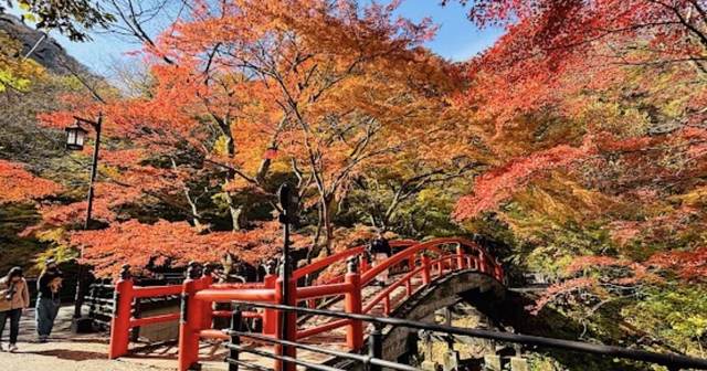 群馬・伊香保の、紅葉の中の赤い橋